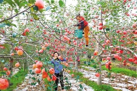 【脫貧攻堅答卷】盡銳出戰迎難而上 攻克深度貧困堡壘