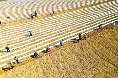 隴南成縣春耕生產有序開展（圖）