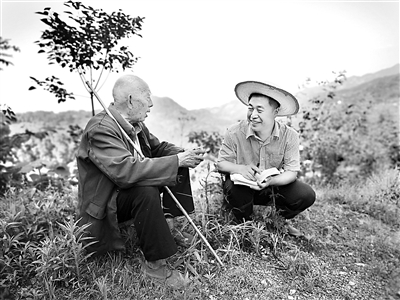 1583709026803292.jpg res04_attpic_brief.jpg