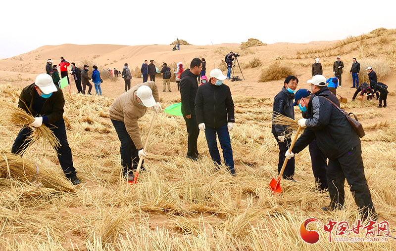 不“疫”樣的植樹節！甘肅省新聞戰線工作者攜手播綠“八步沙”（圖+視頻）