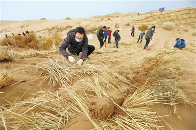 “3·12”植樹節 壓沙造林 甘肅百名記者播綠八步沙