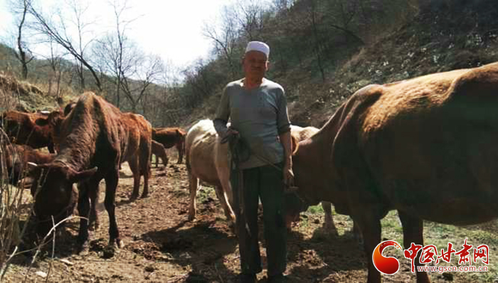 甘肅靈臺：全力加快民族村社經濟發展步伐（圖）