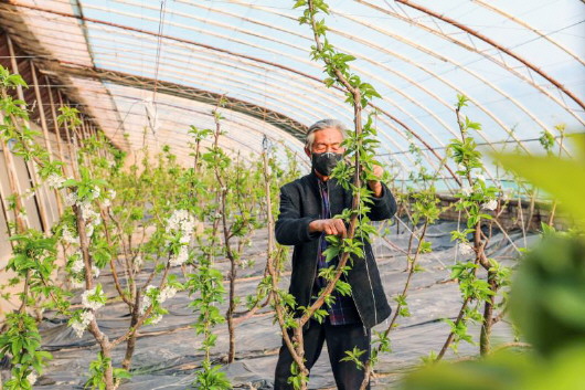 銅城復蘇：春光明媚，邀你共賞芳華（組圖）