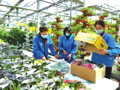 蘭西城市群節點上兩顆“明珠”聯姻度“蜜月”