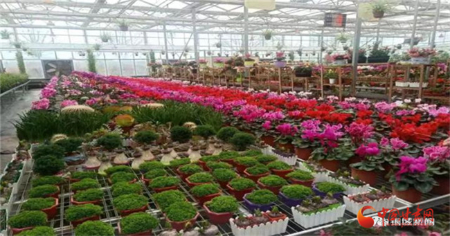 清明假期到這來——“黃河石林自駕游”活動白銀區準備好了