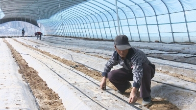 榆中縣扶貧產業讓村民持續增收