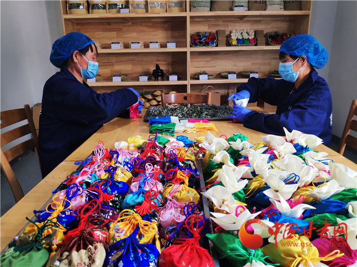 【甘肅省決戰決勝脫貧攻堅】黃蒿灣里話艾草：榆中北山又一富民產業在崛起