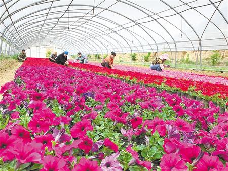 決戰決勝脫貧攻堅主題全媒體集中采訪團走進蘭州