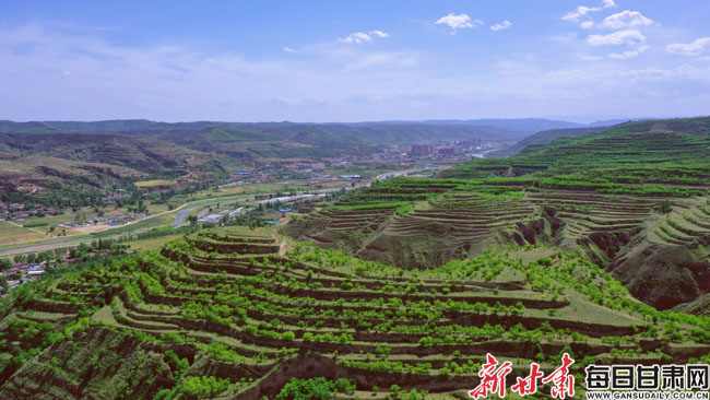 【甘肅生態環保媒體行】造林綠化為崇信縣生態底色增添“新綠”