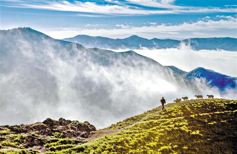 甘肅旅游丨關山云海