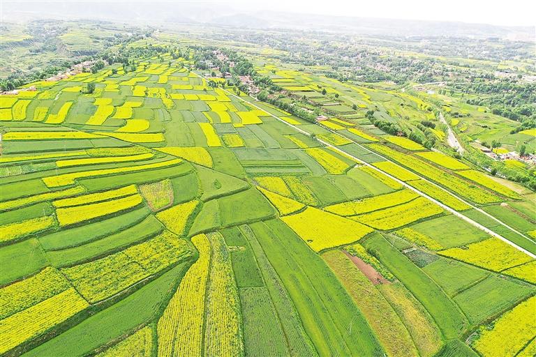 奮楫揚帆風正勁 爭先進位正當時——臨夏州上半年經濟社會發展和重點工作綜述