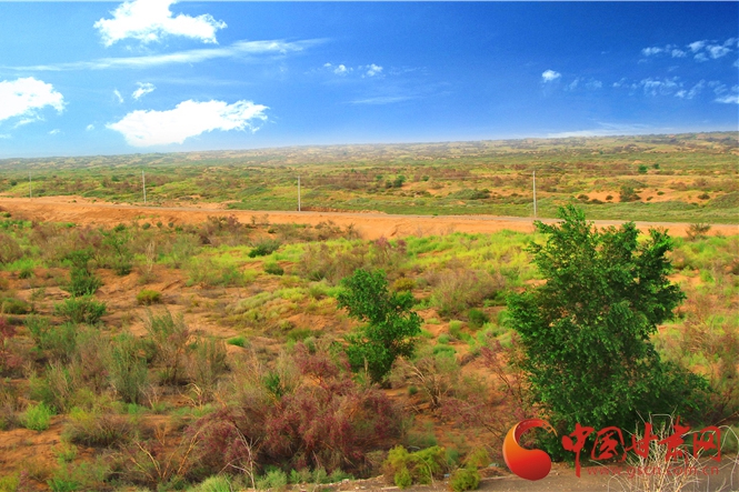 禮贊八步沙 記者帶你探訪古浪縣八步沙林場