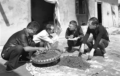 1597103123781274.jpg res01_attpic_brief.jpg