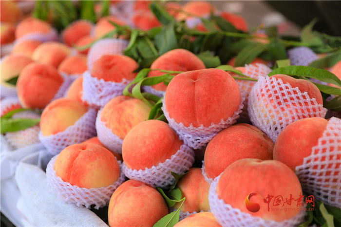 從“桃花源”到“蟠桃會”天水秦安10萬畝蜜桃將延伸產業鏈