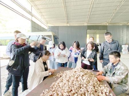 “決戰決勝脫貧攻堅·督戰未摘帽貧困縣”中宣部主題采訪活動走進隴南