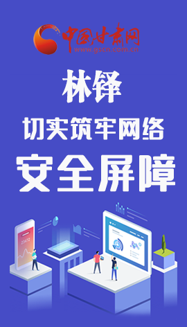 長圖|關于網(wǎng)絡安全,省委書記林鐸要求這樣做   