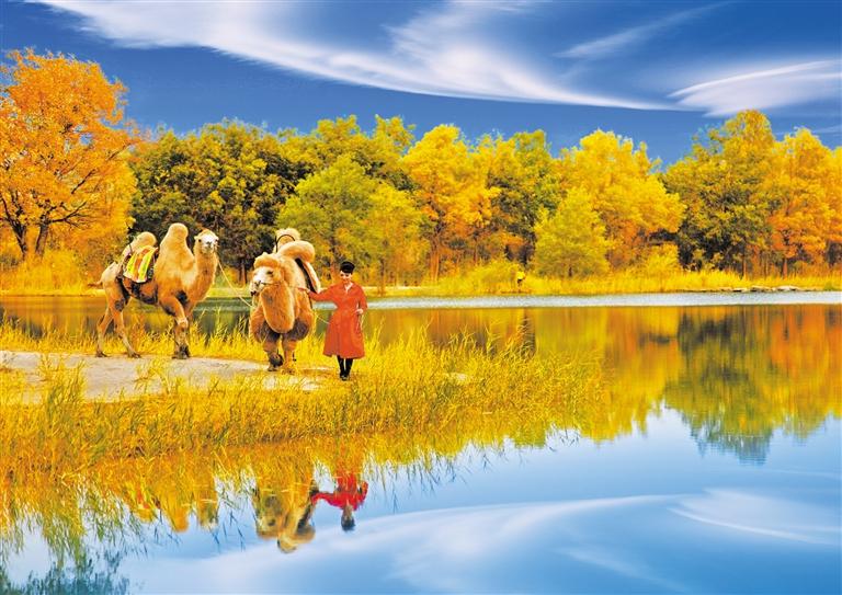 國慶長假，去金塔遇見最美胡楊