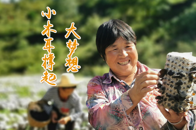 海報(bào)丨他們，乘“豐”破浪！