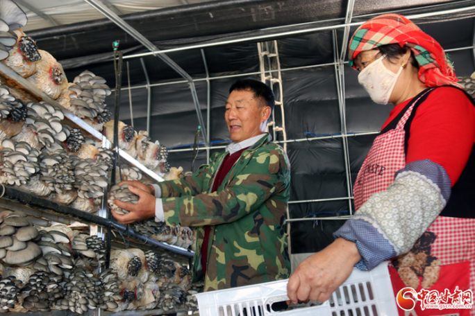 【十年巨變 看新區成就】以高科技手段打造現代農業示范園