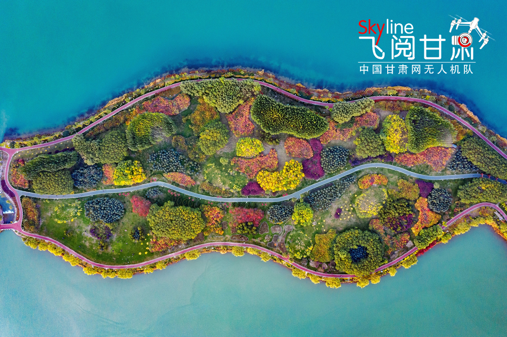 【飛閱甘肅】張掖蘆水灣：五彩斑斕“醉”是秋