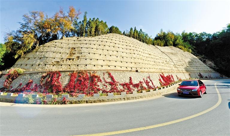 近90度陡坡上種樹！蘭州南北兩山綠化出新招