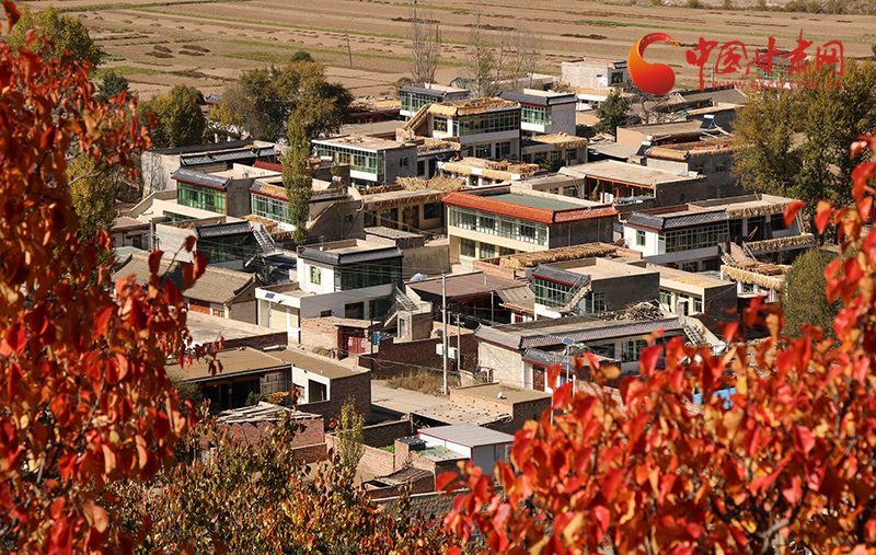 岷縣:山川村居皆詩(shī)意 鄉(xiāng)村秋色美如畫
