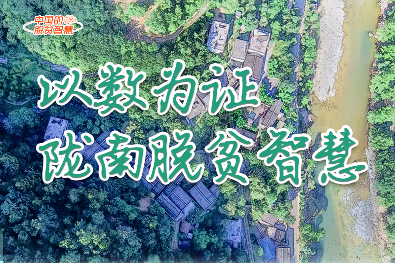 【中國的脫貧智慧】以數為證！隴南脫貧智慧來了！