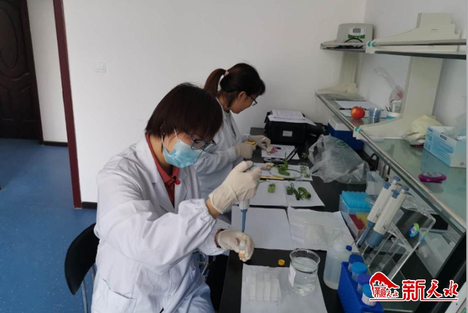 天水市市場監管局開展“消費扶貧”食品專項監督抽檢