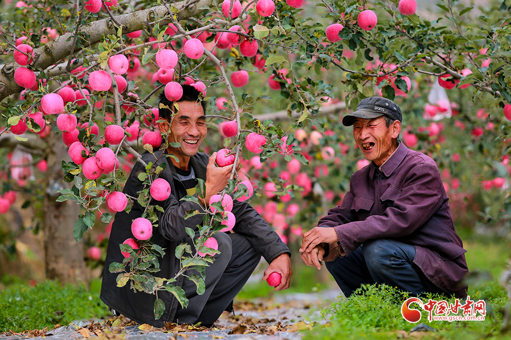 【中國的脫貧智慧】平涼：產業扶貧提升“造血”功能 “繡花”功夫助力鄉村振興（圖）