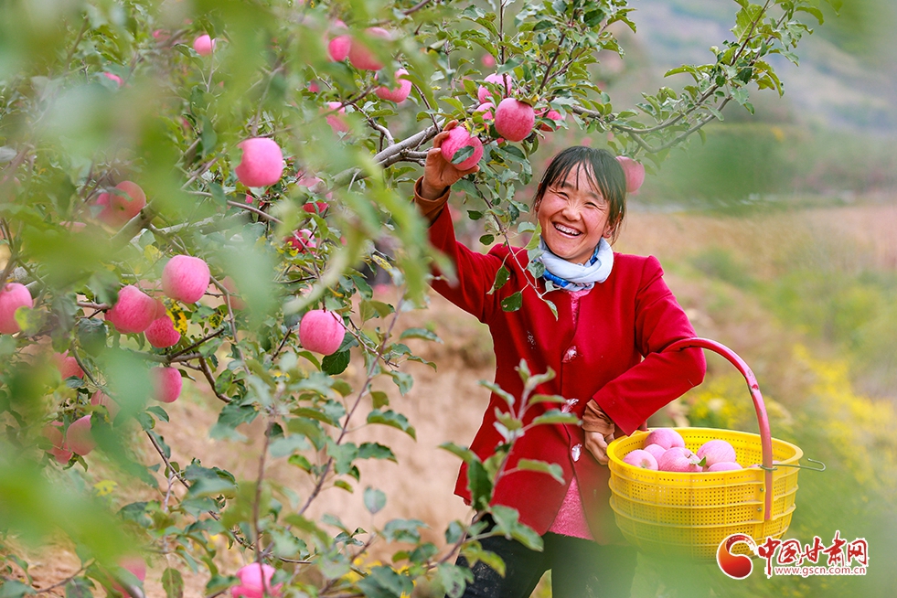 【中國的脫貧智慧】平涼：筑牢“返貧防線” 機制創新是關鍵（圖）
