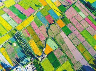 【邁好第一步 見到新氣象】甘肅發展特色產業推動脫貧攻堅銜接鄉村振興報道之五  織密產業“安全網” 農戶吃上“定心丸”