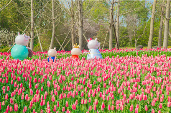 長壽湖郁金香次第開放。羅云希 攝 長壽湖郁金香次第開放。羅云希 攝