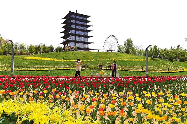 天水麥積區第五屆郁金香花卉展開幕