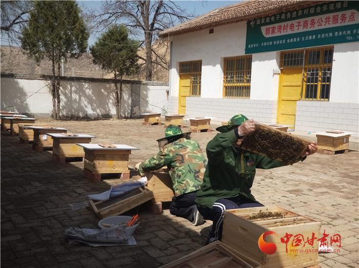【鄉村振興看甘肅】蘭州榆中小山村 ：花開釀蜜分外甜 養蜂致富路寬廣