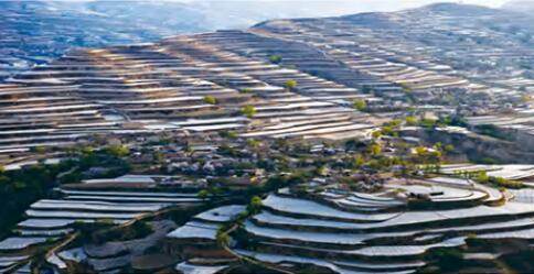 【百年華誕 絢麗隴原】第三篇章·第一單元|改革起步 農業發展