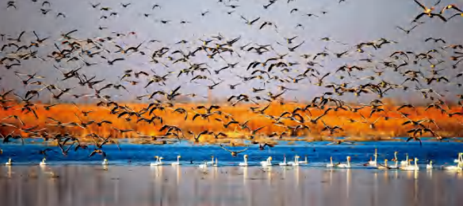 【百年華誕 絢麗隴原】第四篇章·第五單元|生態建設 綠水青山