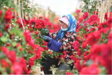 【百年華誕 絢麗隴原】第四篇章·第六單元|百年偉業 宏圖大展