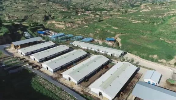 “莊浪模式”賦能產業提質增效