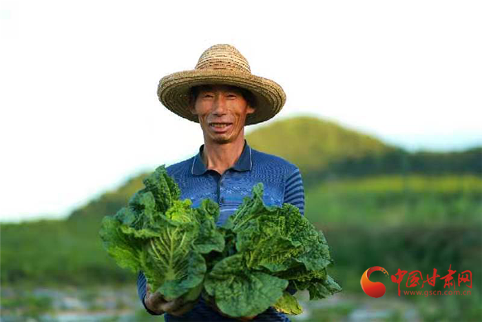 【小康圓夢·看甘肅】榆中縣馬坡鄉：“冷涼”蔬菜“火熱”賣 帶來小康好生活