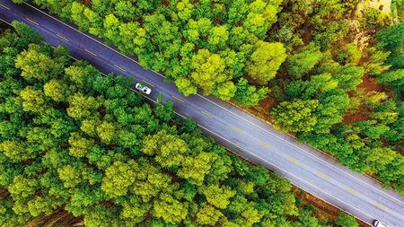 治沙鐵軍縛“黃龍” 石羊河林業總場生態文明建設紀實