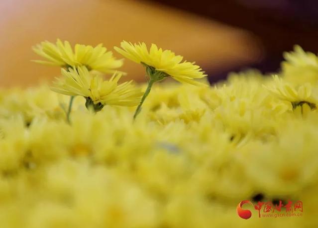 【甘快看】蘭州市民政局：“十月一”禁止市民到街道小區燒紙祭祀