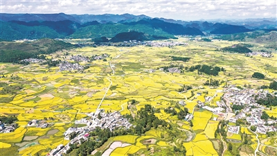 1636674753229994.jpg 6.jpg