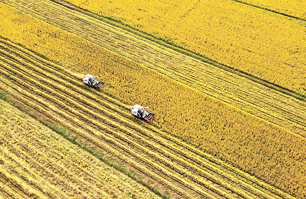 1639351771205843.jpeg W020211213247804765329.jpeg