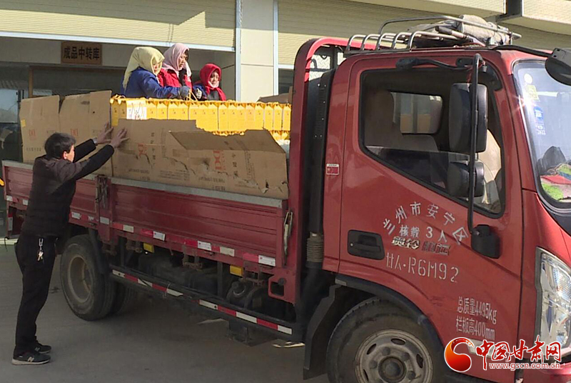 【新春走基層·小康路上看老鄉】甘肅靜寧：“小雜糧”奏響鄉村振興新樂章