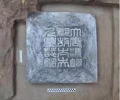 1645930280292985.jpg?x-oss-process=style/w10 2.jpg?x-oss-process=style/w10