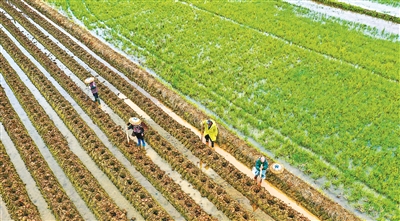 1648507596667061.jpg wKinm2JB-A2AJGPlAAH9HXf26vA890.jpg