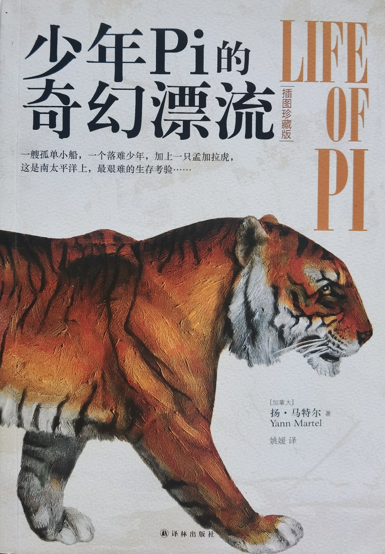 插圖1:揚?馬特爾的小說《少年pi的奇幻漂流》封面