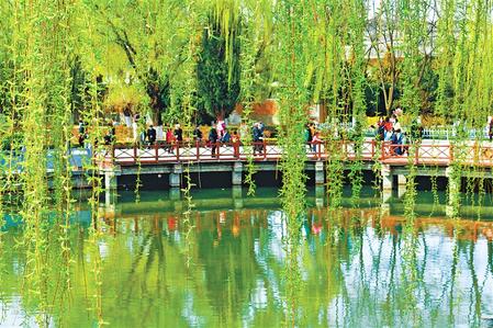 慶陽西峰區：春日美景惹人醉