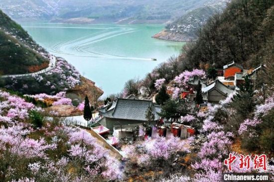 甘肅平涼市是中國優秀旅游城市。圖為平涼崆峒山下十里桃花盛開。(資料圖) 平涼市委宣傳部供圖