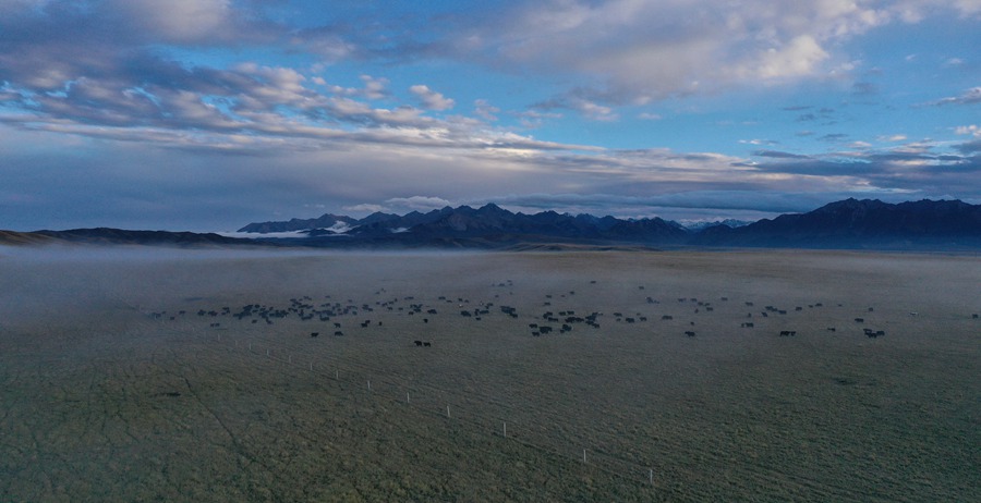 甘肅山丹馬場(chǎng):峽谷云霧似仙境。 王超攝